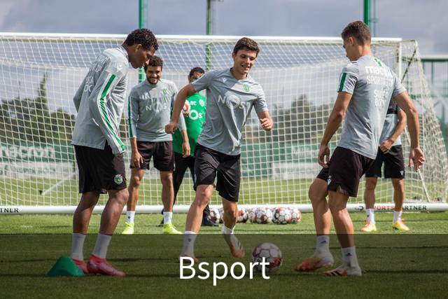 Bsport公司介绍图片